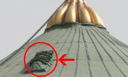 whats on the Green Dome 2.jpg