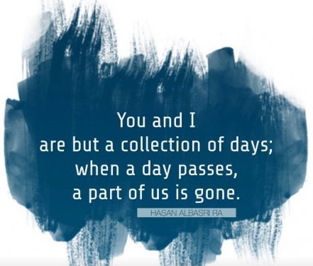 a collection of days.jpg