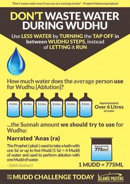water in wudhu.jpg