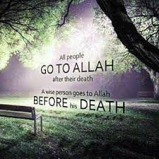 death wise person.jpg