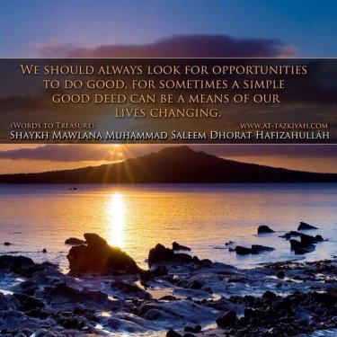 sh ms - opportunities.jpg