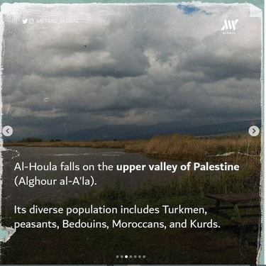 houla 3.png