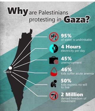 gaza.jpg